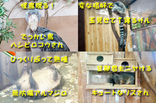 20130926どうぶつ王国1.jpg
