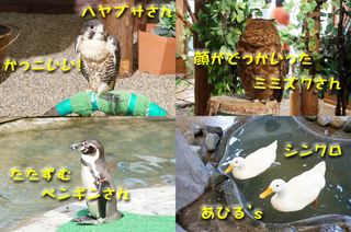 20130926どうぶつ王国3.jpg