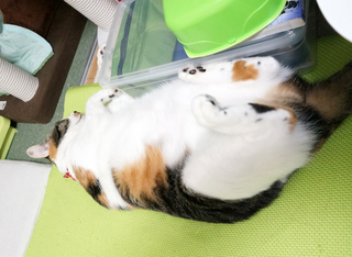 20151011-1.JPG
