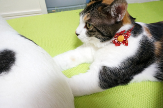 20151011-2.JPG