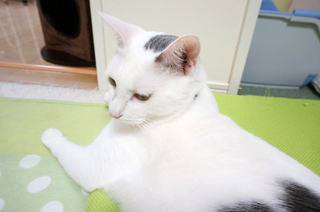 20151011-4.JPG