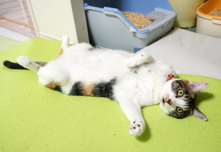 20151011-6.JPG