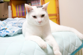 20151011-7.JPG