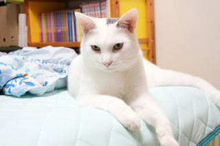 20151011-8.JPG