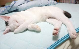 20151011-9.JPG