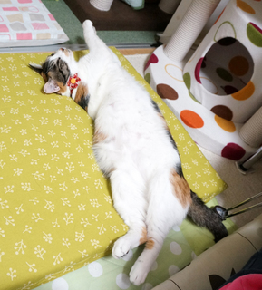 20151111-4.JPG