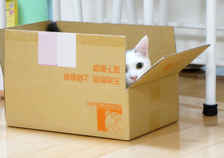 20151111-6.JPG