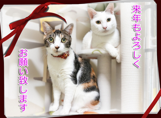 20151231挨拶.jpg