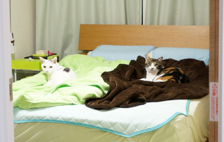 20160118見てる1.JPG