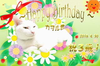 20160430カヲル君誕生日.jpg