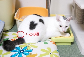 20160831病院1.JPG
