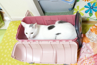 20160831病院3.JPG