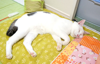 20160831病院5.JPG