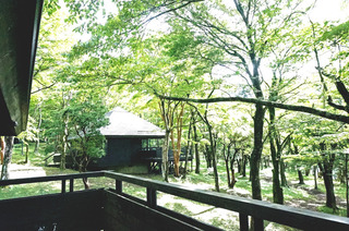 20161110箱根1.JPG