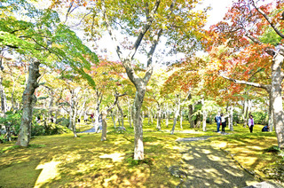 20161110箱根5.JPG