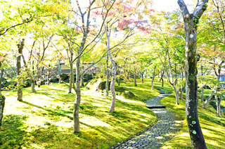 20161110箱根6.JPG