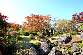 20161110箱根8.JPG