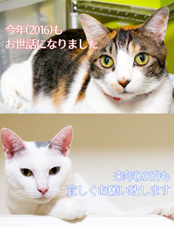 20161231挨拶.jpg