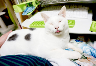 20170215カヲル3.JPG