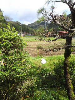 20170731-10.jpg