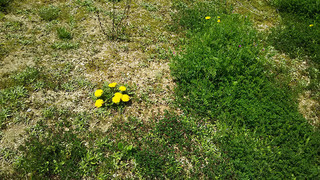 20170731-14.JPG