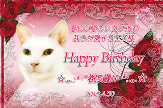 20180430カヲル君誕生日5歳.jpg
